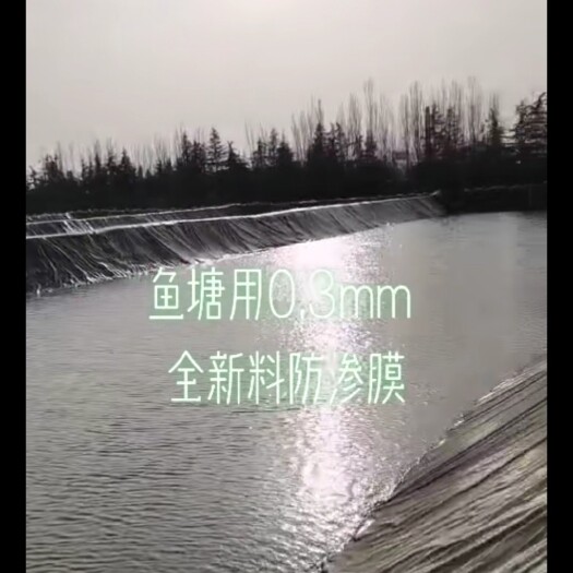 德州土工膜，养鱼池，虾池，防渗膜，生产厂家