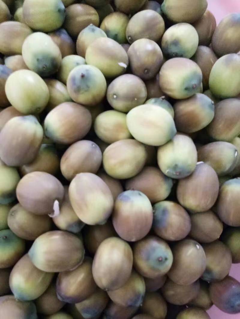 鲜莲 草莲 白莲 青莲子