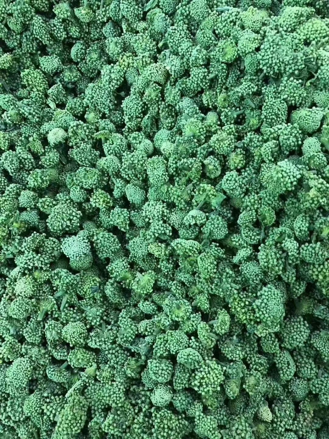 三七花  云南文山，三年花，花朵大，饱满