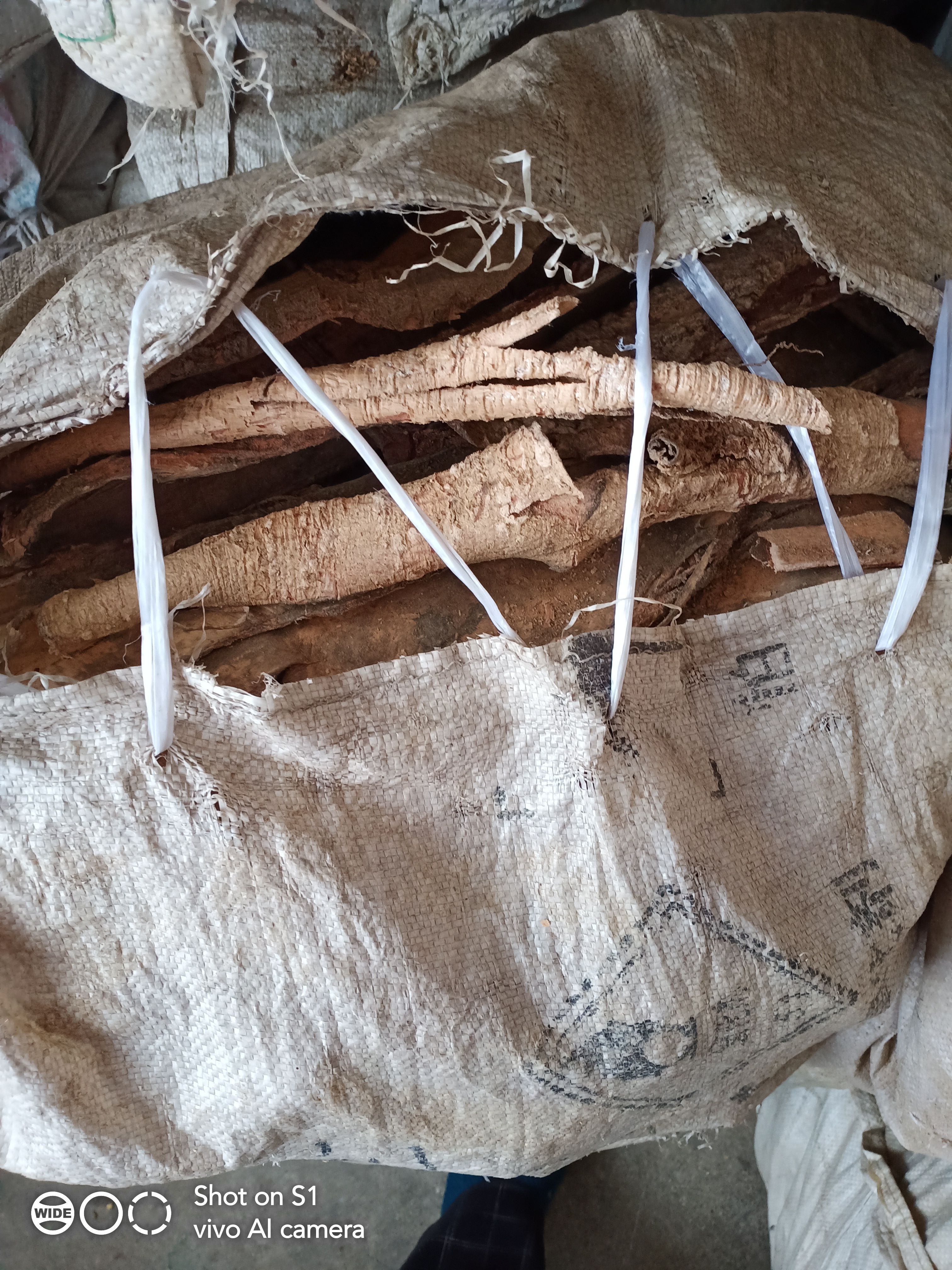 土荊皮，落叶松皮