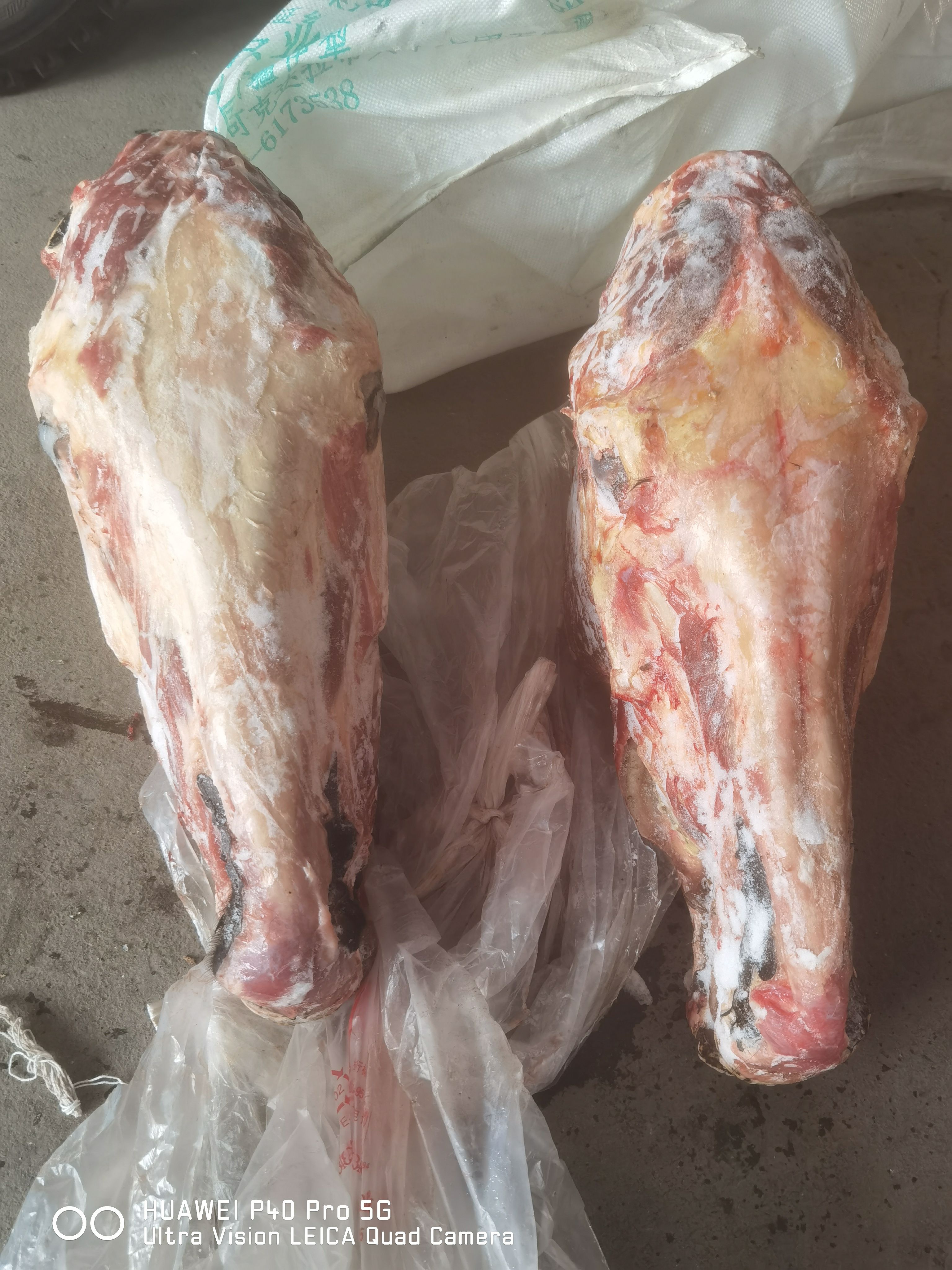 马头颜色新鲜质量好出肉率高
扒皮马头