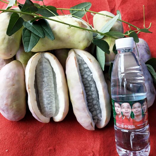 灵山县优质八月瓜