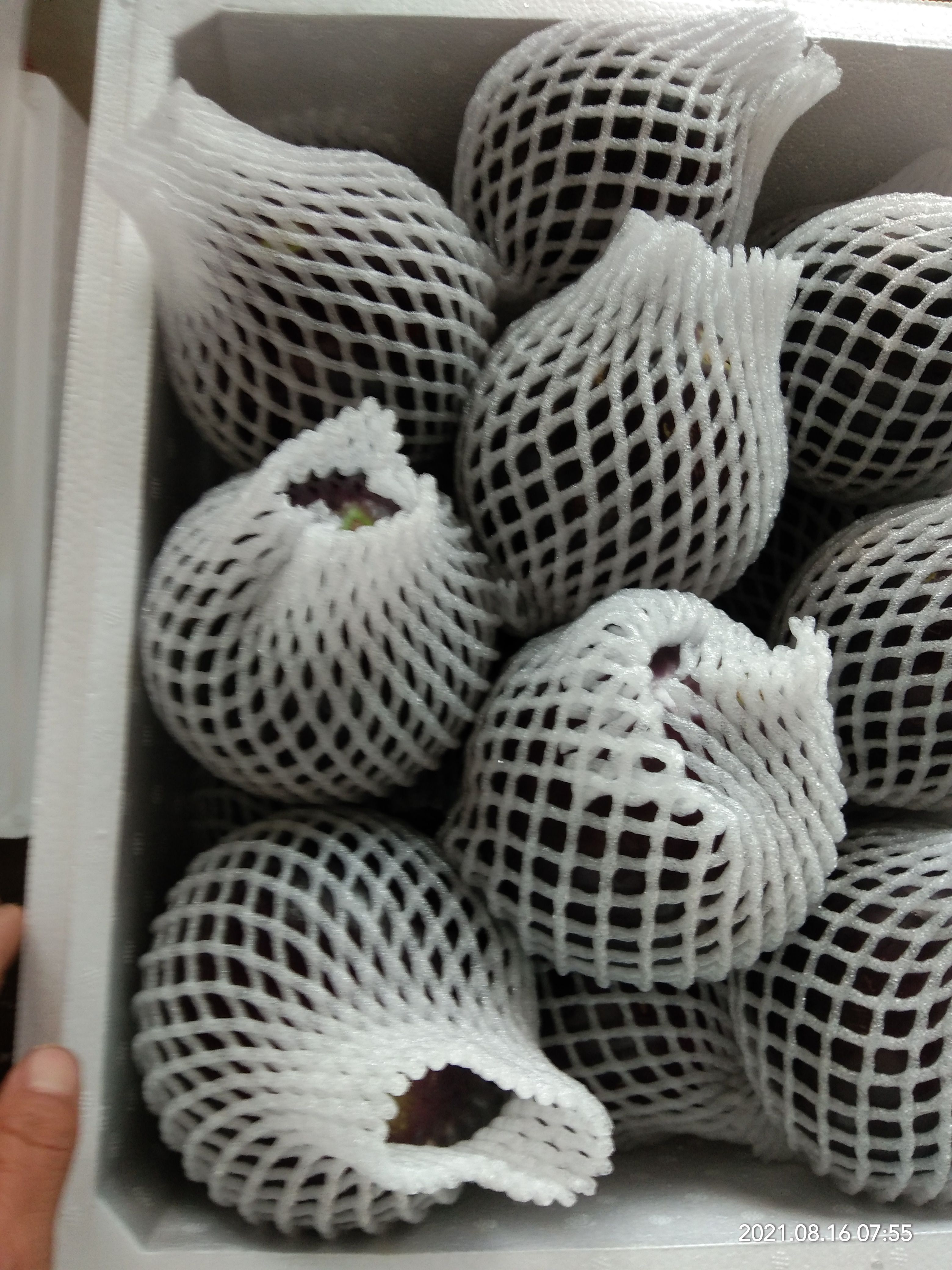 春达果蔬表色亮丽紫光圆茄