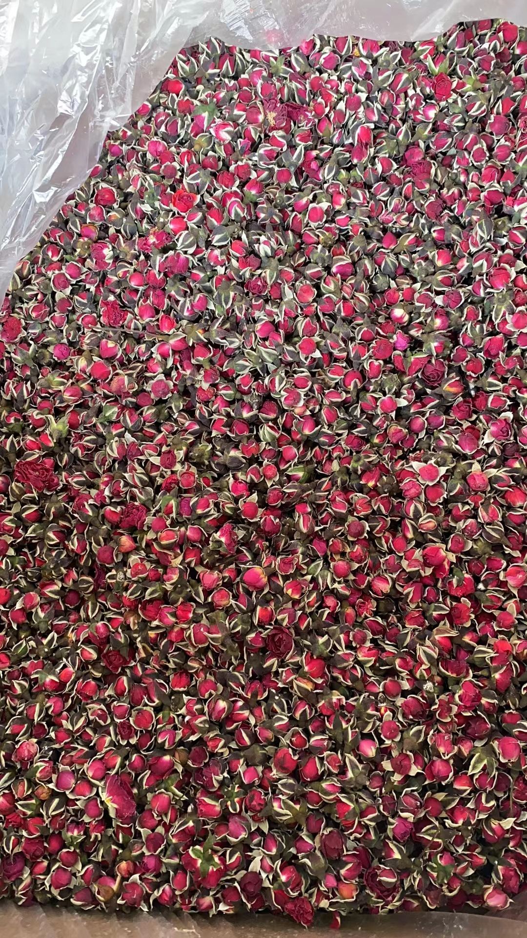 花草茶  金边玫瑰花产地直供大货