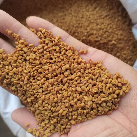 亳州芦巴子 葫芦巴子 各种香辛料批发中药材大全