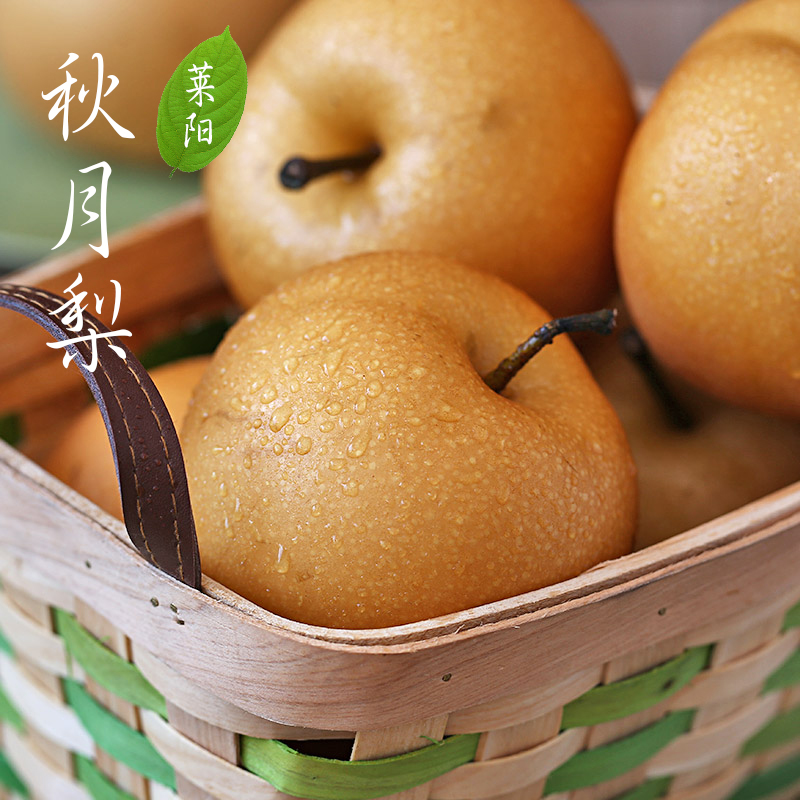 秋月梨大量上市中需要的老板速度联系我了