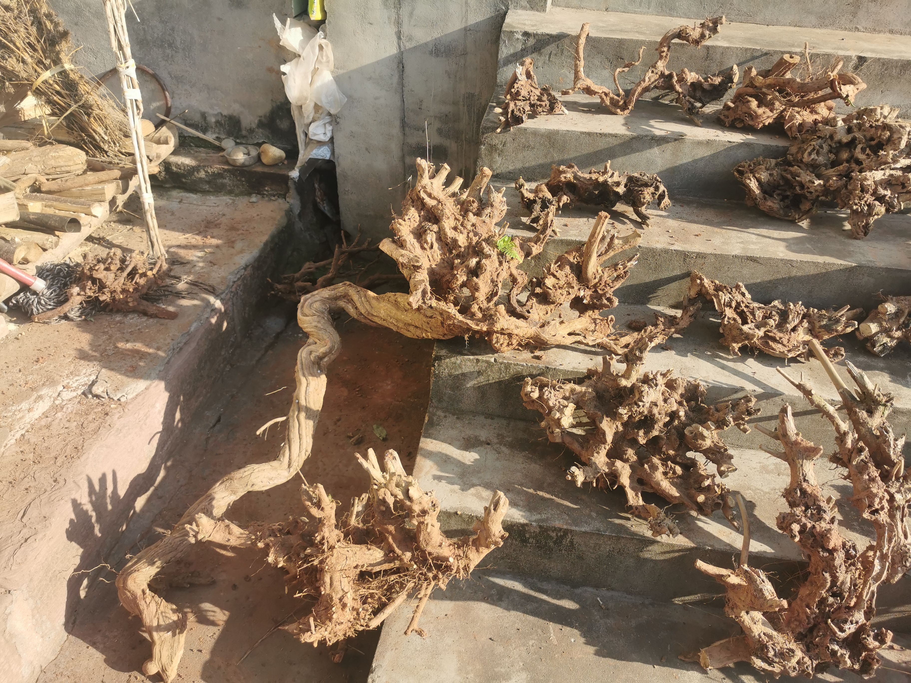 黄荆桩 黄荆桩头