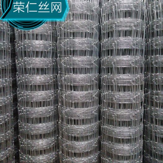 安平县正方孔10厘米铁丝网钢丝网荷兰网圈牛羊果园围栏圈地专用网圈鸡