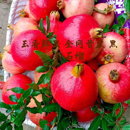 会理市红石榴  新鲜石榴 黑籽酸石榴
