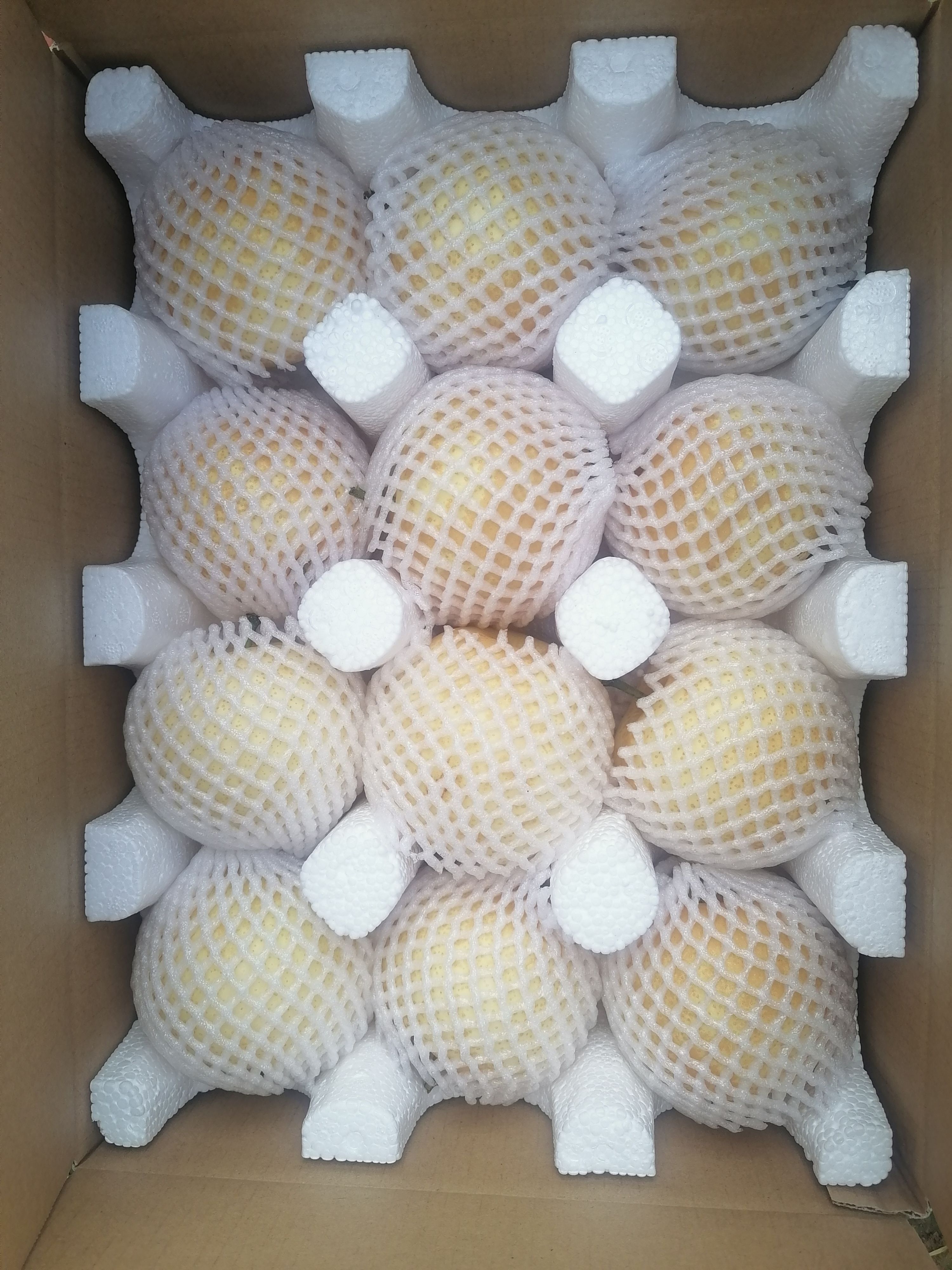  黄金梨，果形均匀，酥脆汁多