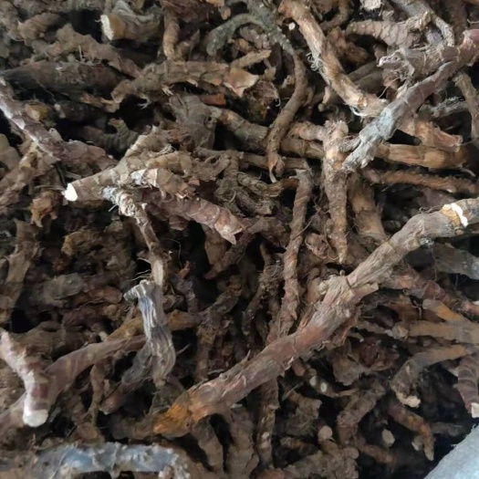 商城县石菖蒲新货无硫熏非人工种植正品货批发零售均可