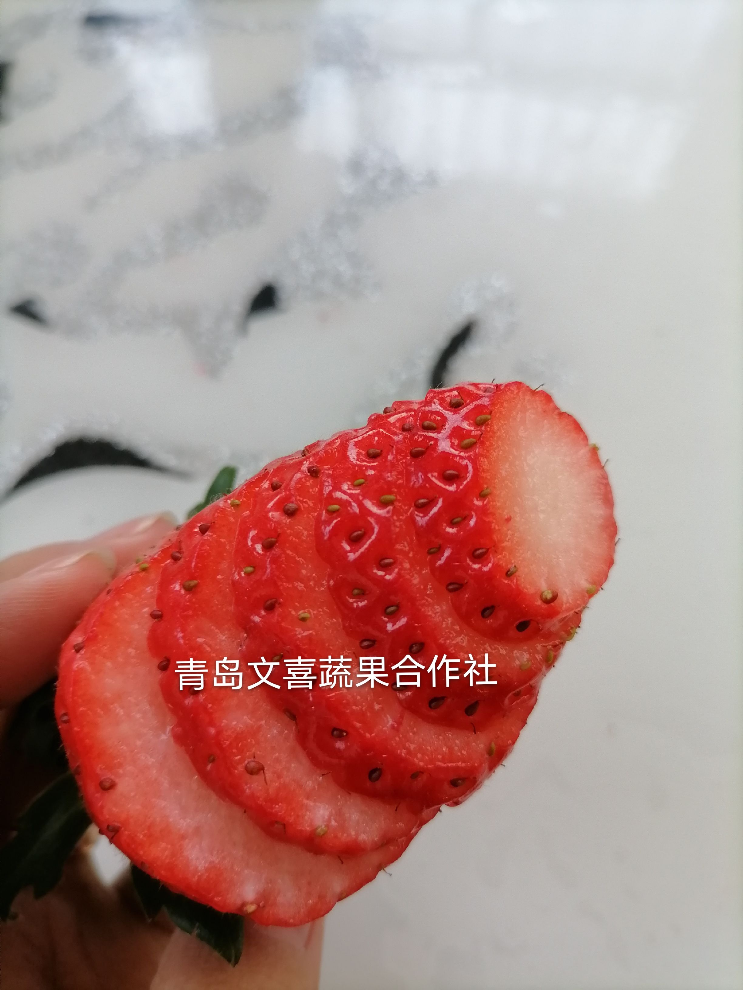 平度甜宝草莓苗，根壮果硕，成活率97%以上