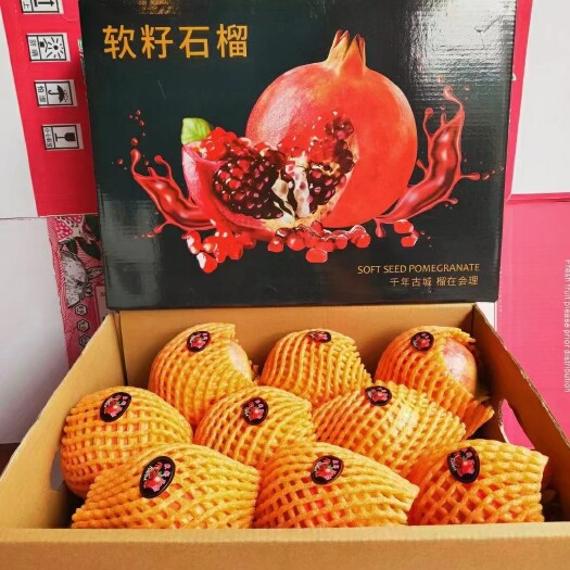 会理市 会理突尼斯软籽石榴，零售批发，一件代发