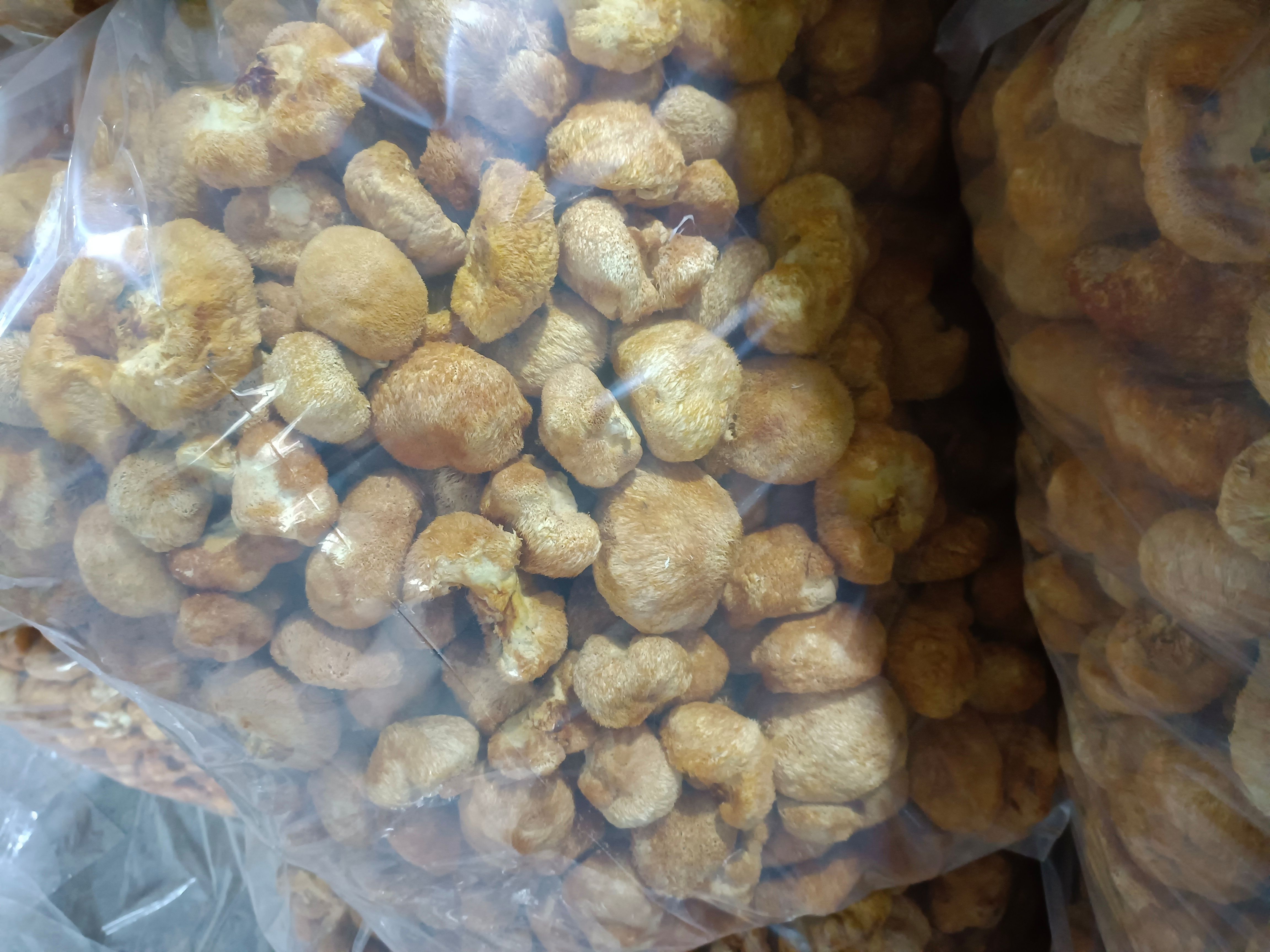 干猴头菇  贵州猴头菇特级一级干货