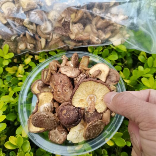 金秀县广西光面菇初级农产品散称重现卖现装金秀大瑶山香菇香喷喷的香菇
