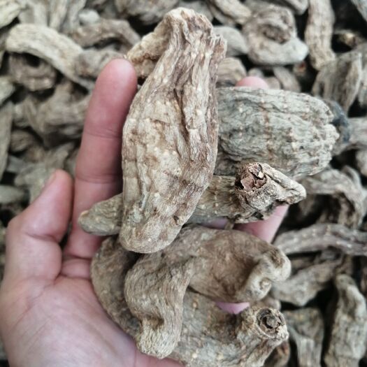 乌天麻