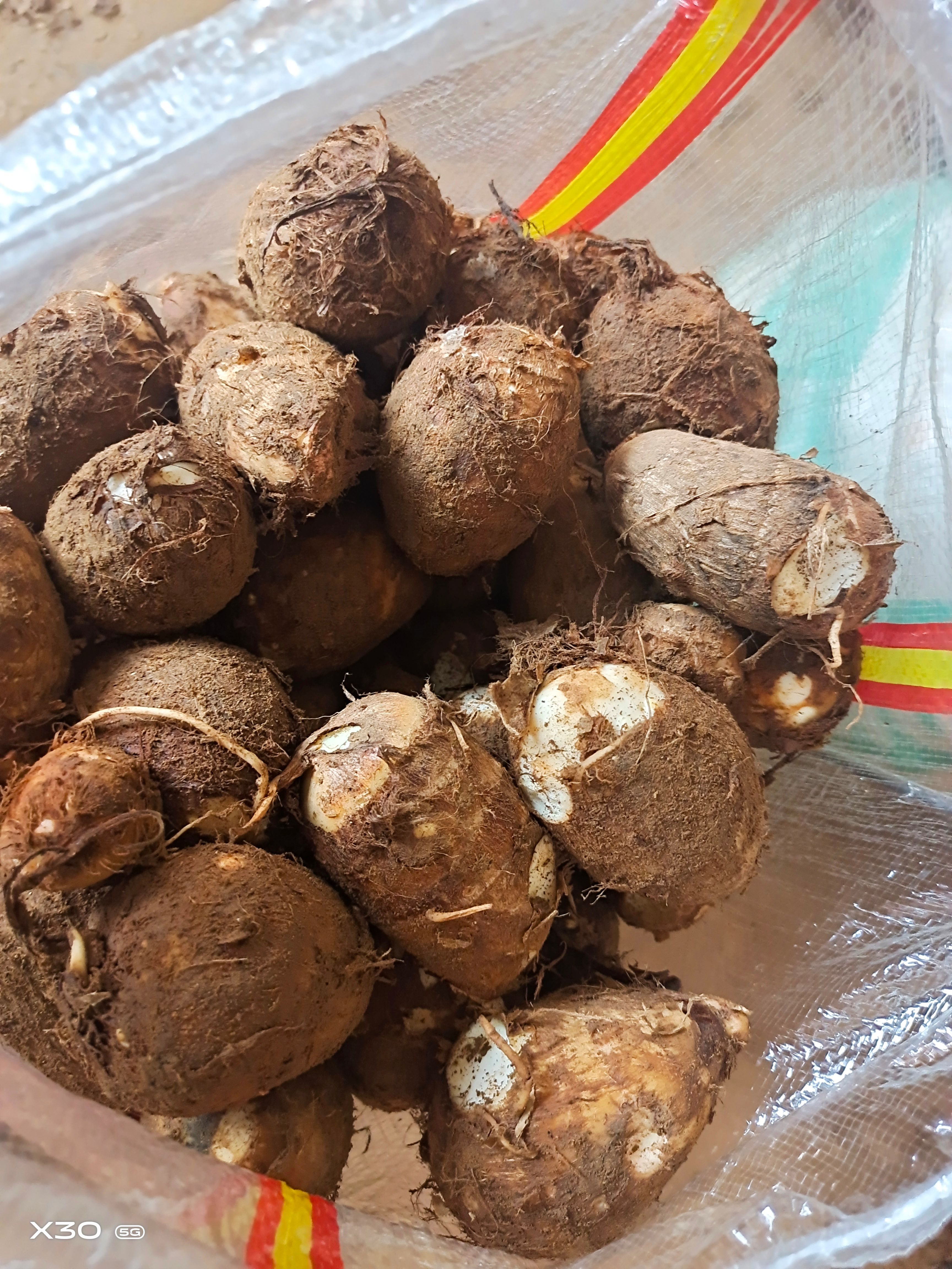 毛芋头，山东毛芋头上市，8520毛芋头代电商供货不