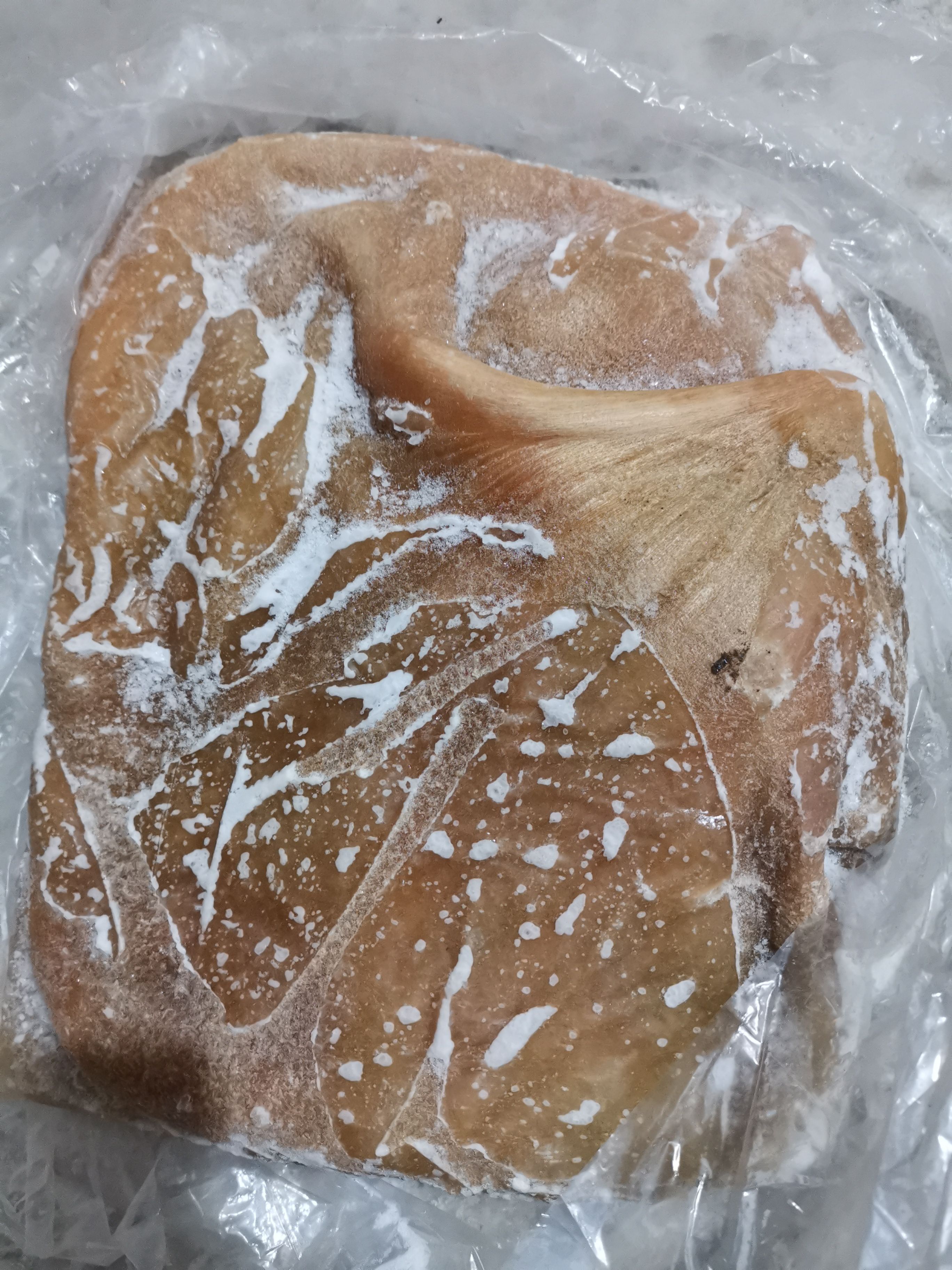 牛肚  青海牦牛净肚