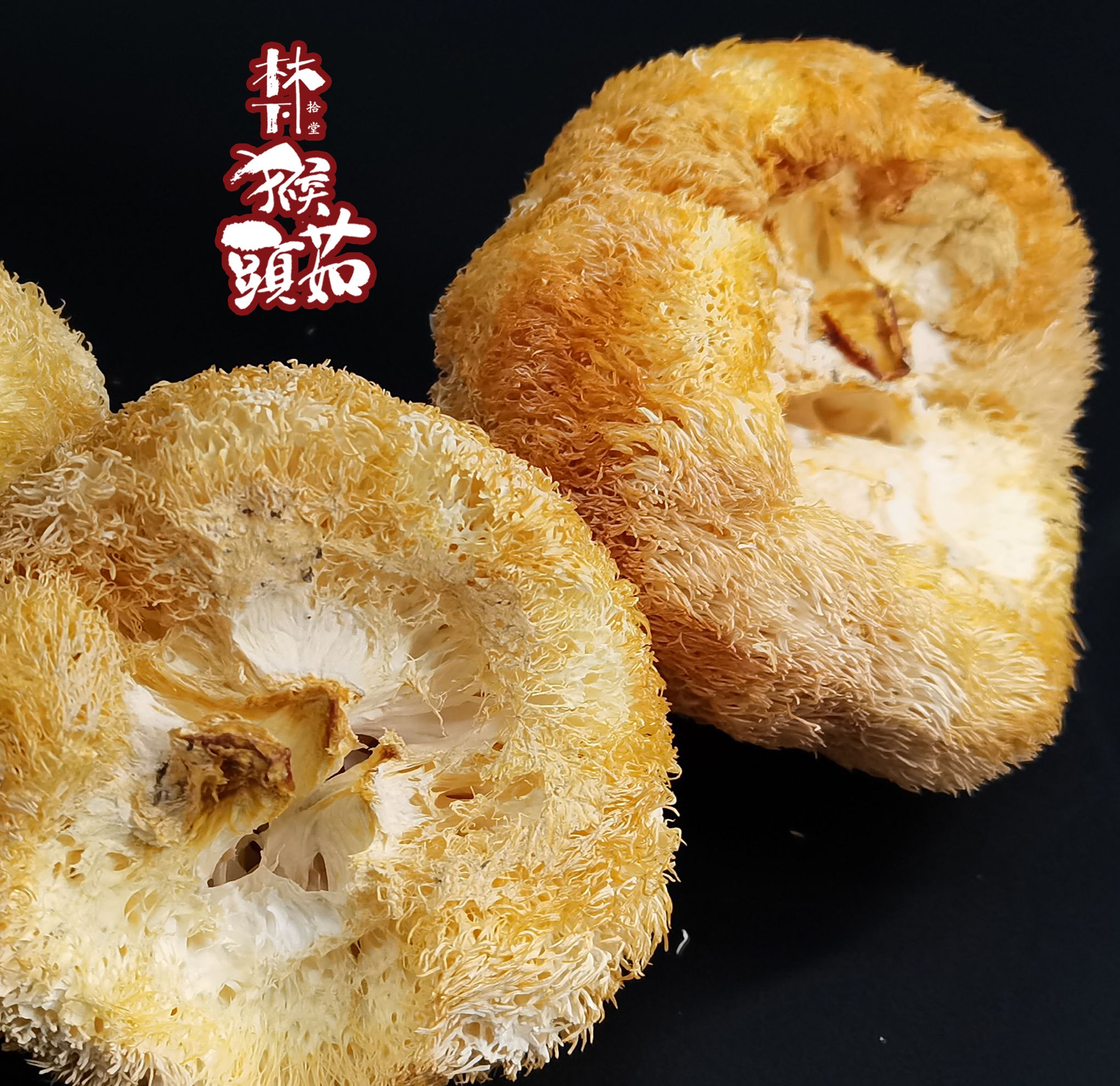 干猴头菇  贵州猴头菇特级一级干货