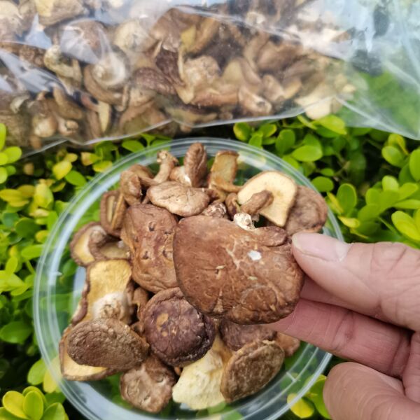 广西光面菇初级农产品散称重现卖现装金秀大瑶山香菇香喷喷的香菇