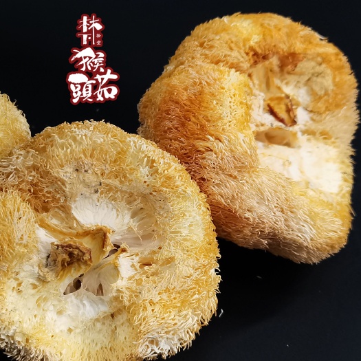 雷山县干猴头菇  贵州猴头菇特级一级干货