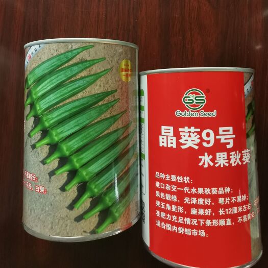 莱阳市晶葵9号水果秋葵种子，果色靓绿，光泽度好，萼片不易掉