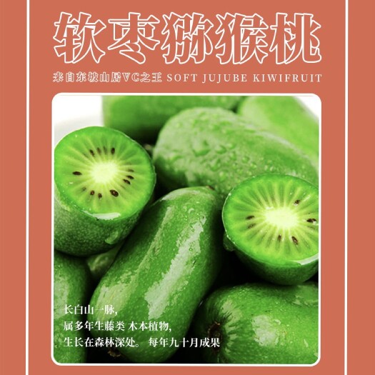 五莲县 山东日照软枣猕猴桃龙城二号，新鲜采摘，Vc含量高，甘甜可口。
