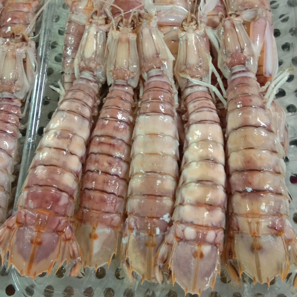 皮皮虾 爬爬虾 虾姑 批发 全国物流发货