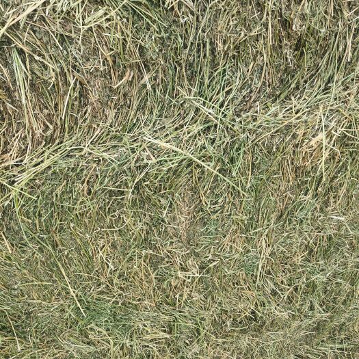 阿旗 大量出售优质苜蓿草一手货源价格便宜水分8至11个