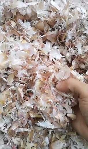 金乡县统糠  大蒜皮