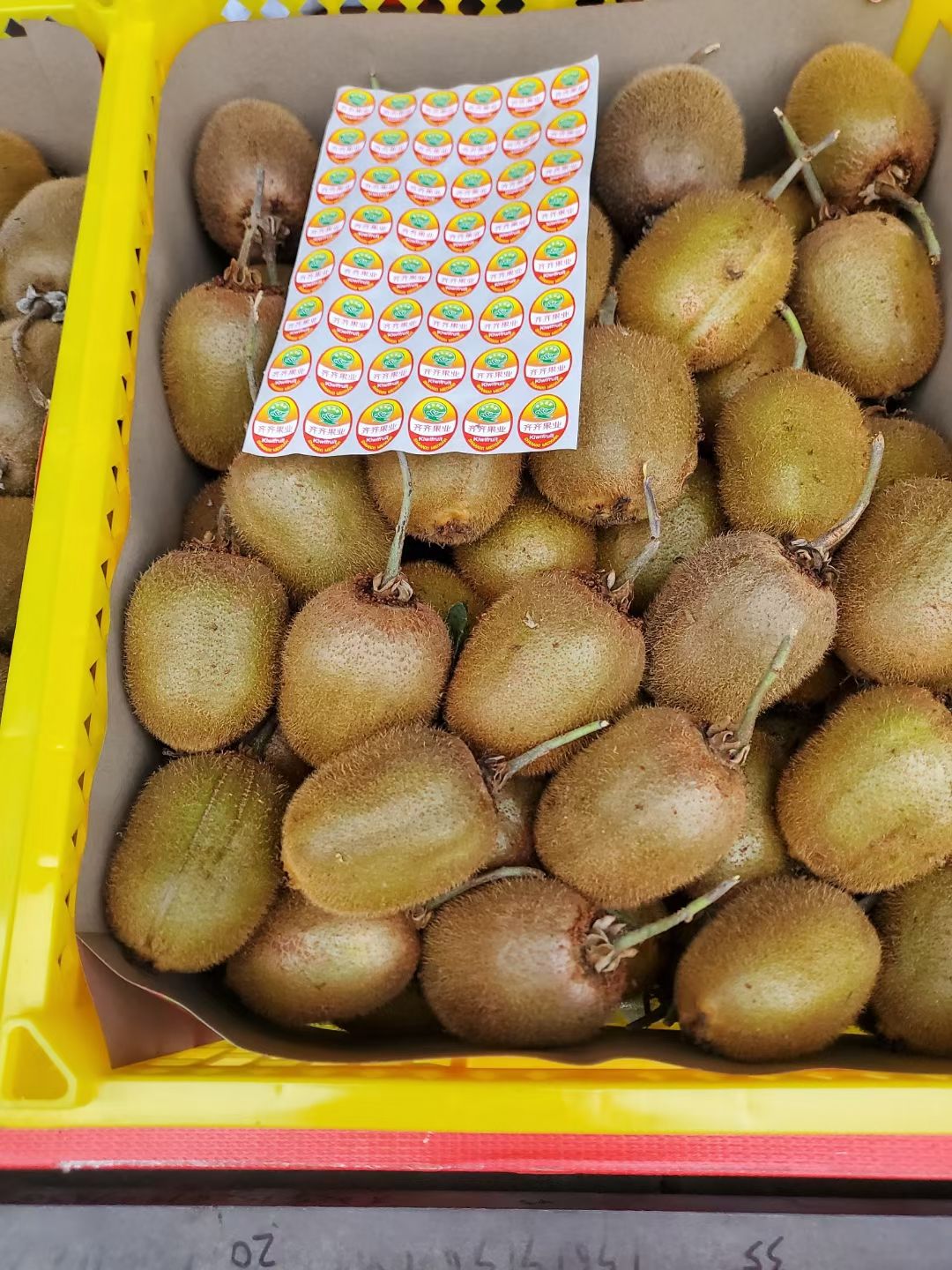 徐香猕猴桃，80克到150克，出库价2.6元，