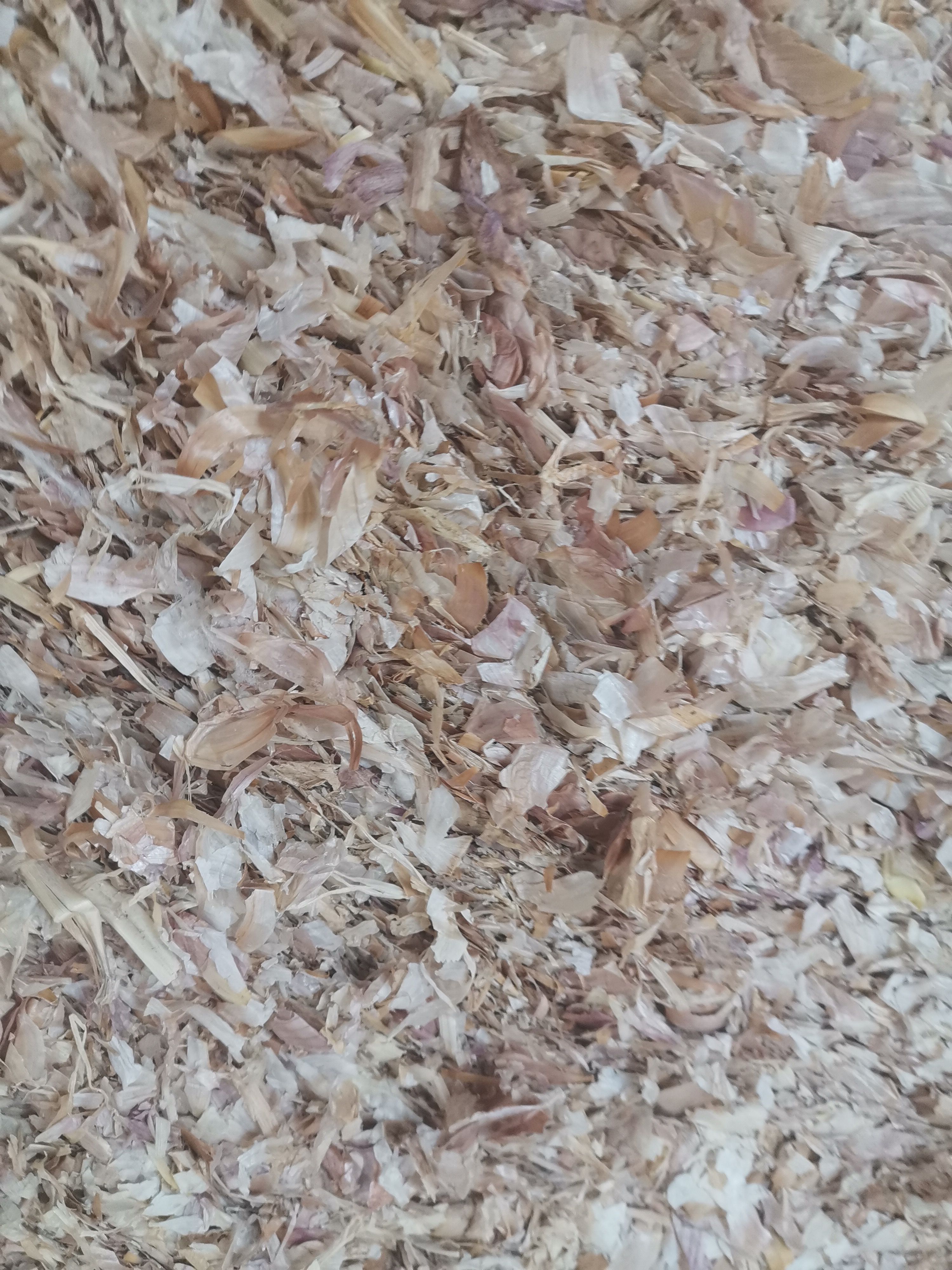 牛羊饲料大蒜皮