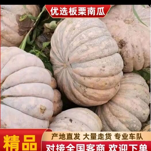 岳阳板栗南瓜  湖南南瓜盘龙王中王密本金韩口感好粉糯香甜老少皆宜宝宝营养品