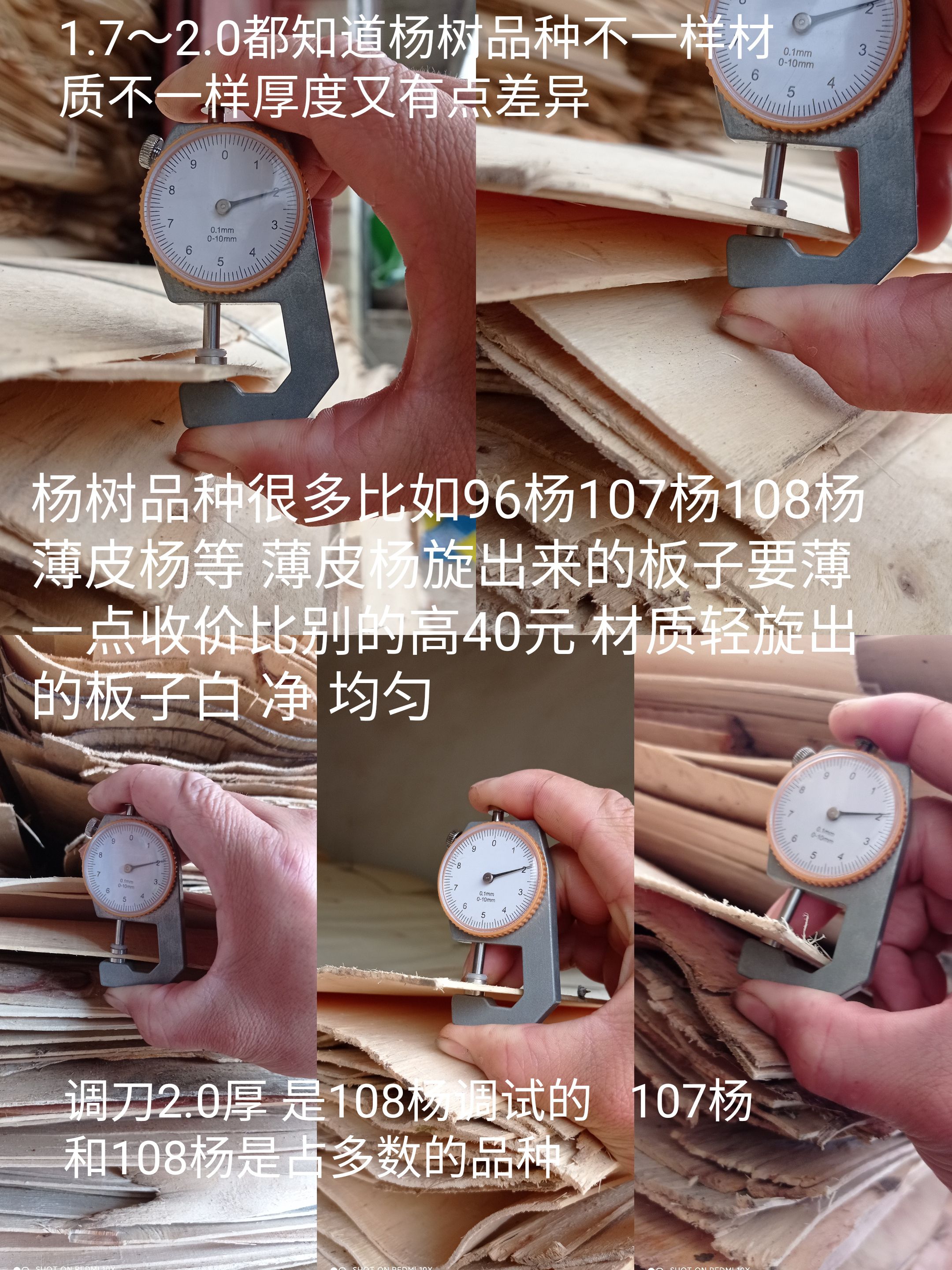 杨树板皮  混级四拼板皮都是卖给当地二道贩（一直都是混级卖  没有投过）