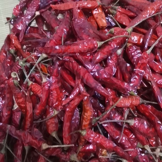 德阳小米椒干辣椒