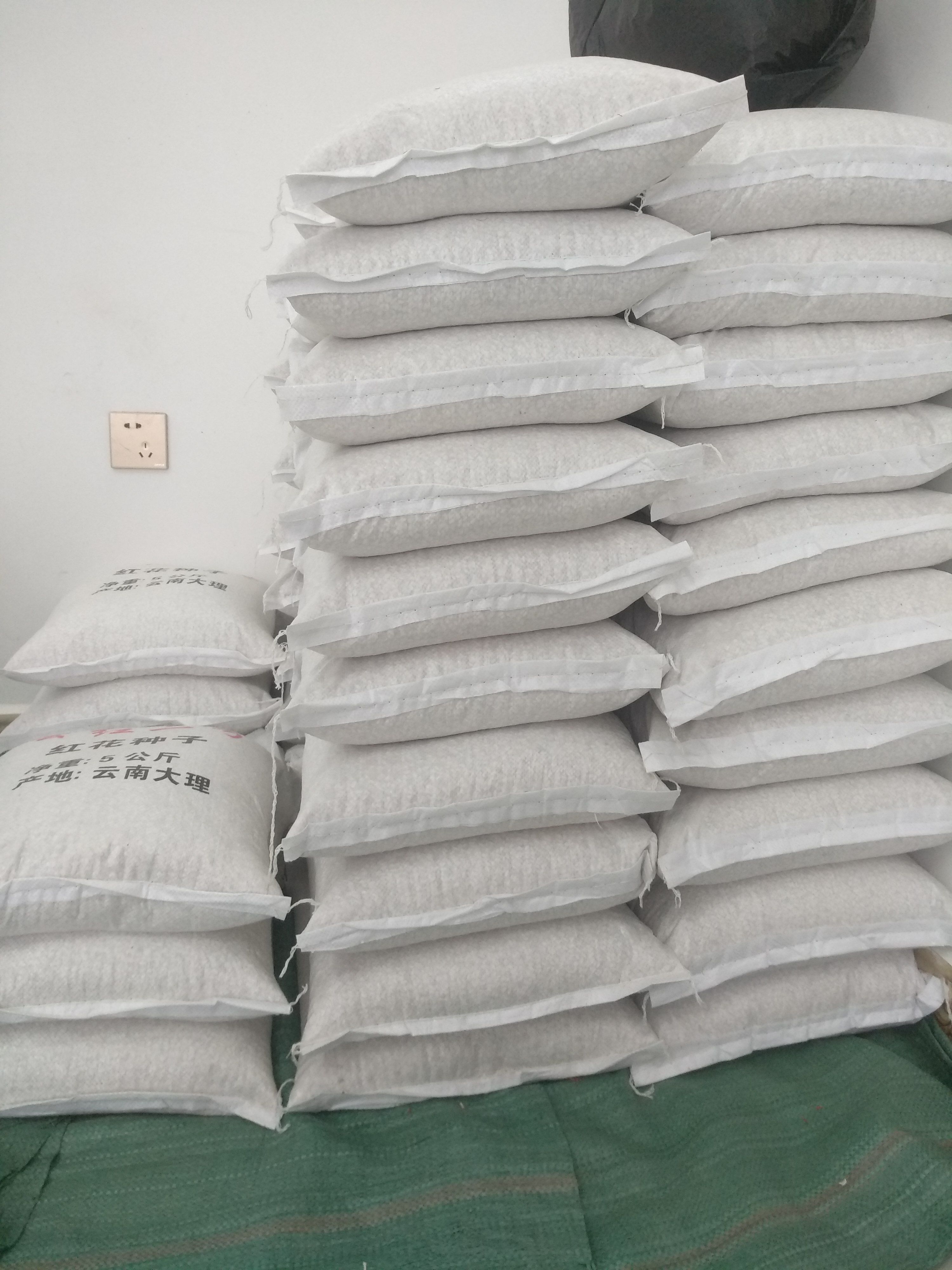 云南红花种子，发芽率高，品质保证，红花包回收