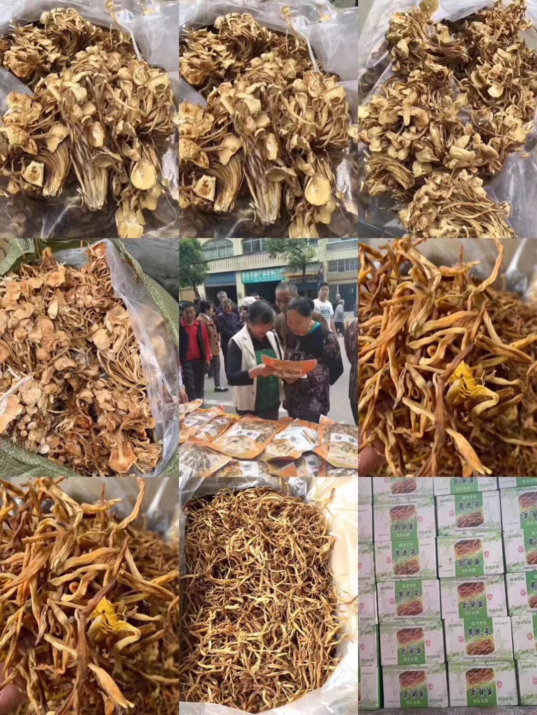 黄金针菇 地摊展会赶集产品，干金针菇茶树菇一手货源批发。