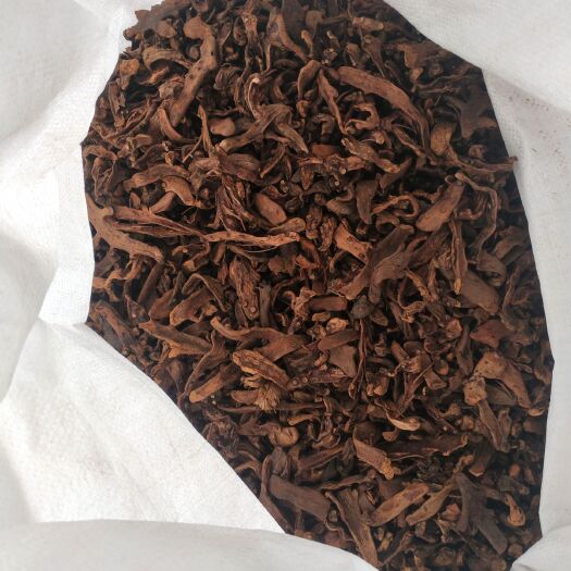 吉安 骨碎补