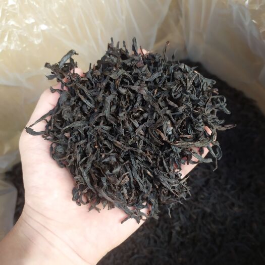 惠来县大红袍茶武夷岩茶大红袍香茶浓香炭焙原味熟香大红袍熟茶黑茶1斤