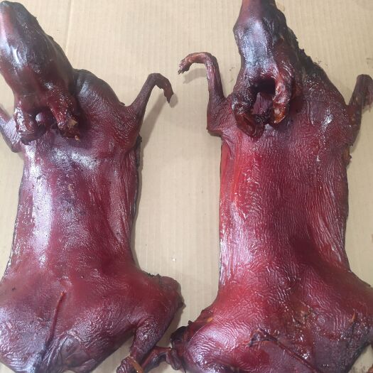 苍南县腊兔  纯手工绿色加工食品:薰兔、等(红糖薰制)