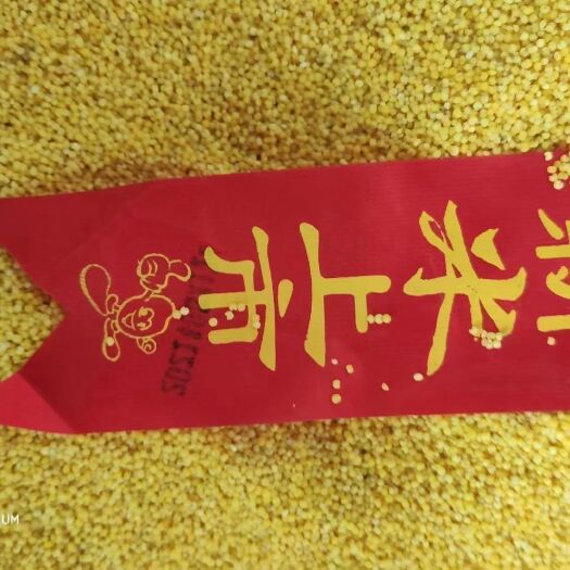 蒙阴县黄小米 沂蒙山优质农产品，新鲜小米上市！米月子米，熬粥