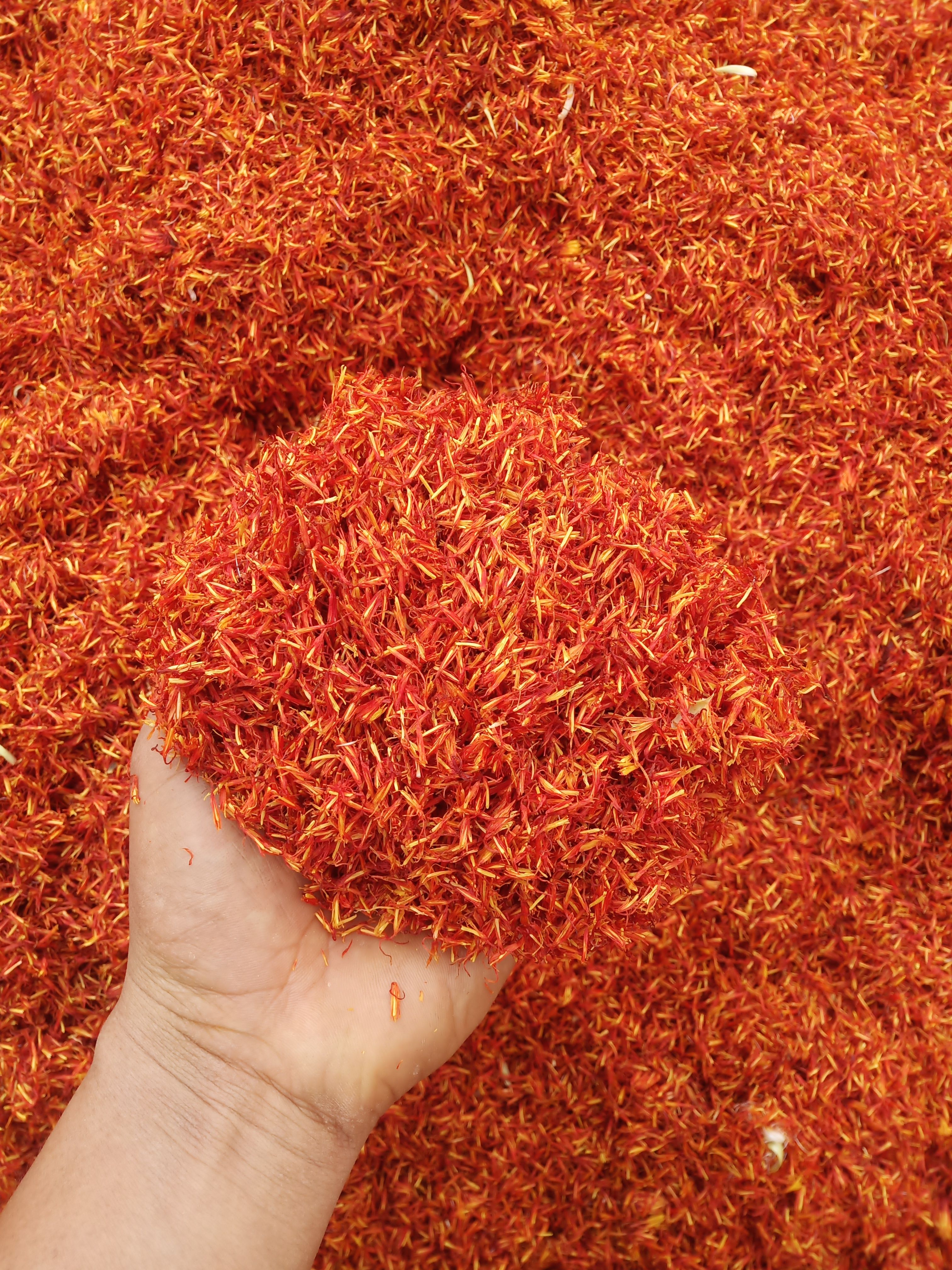 云南红花种子，发芽率高，品质保证，红花包回收