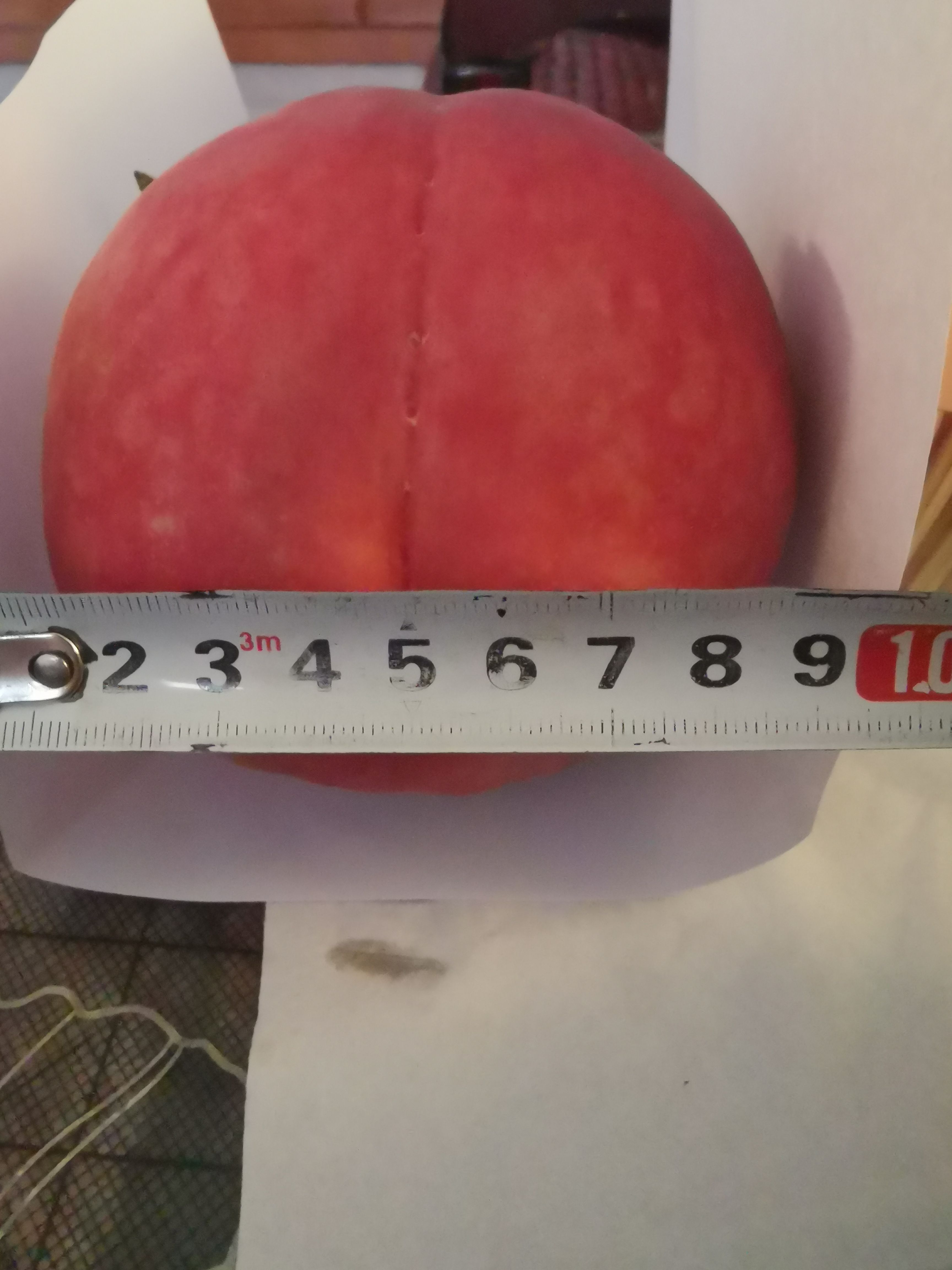 久保蜜桃  绿化九精品大桃子个个半斤以上，主打精品果，高端品质