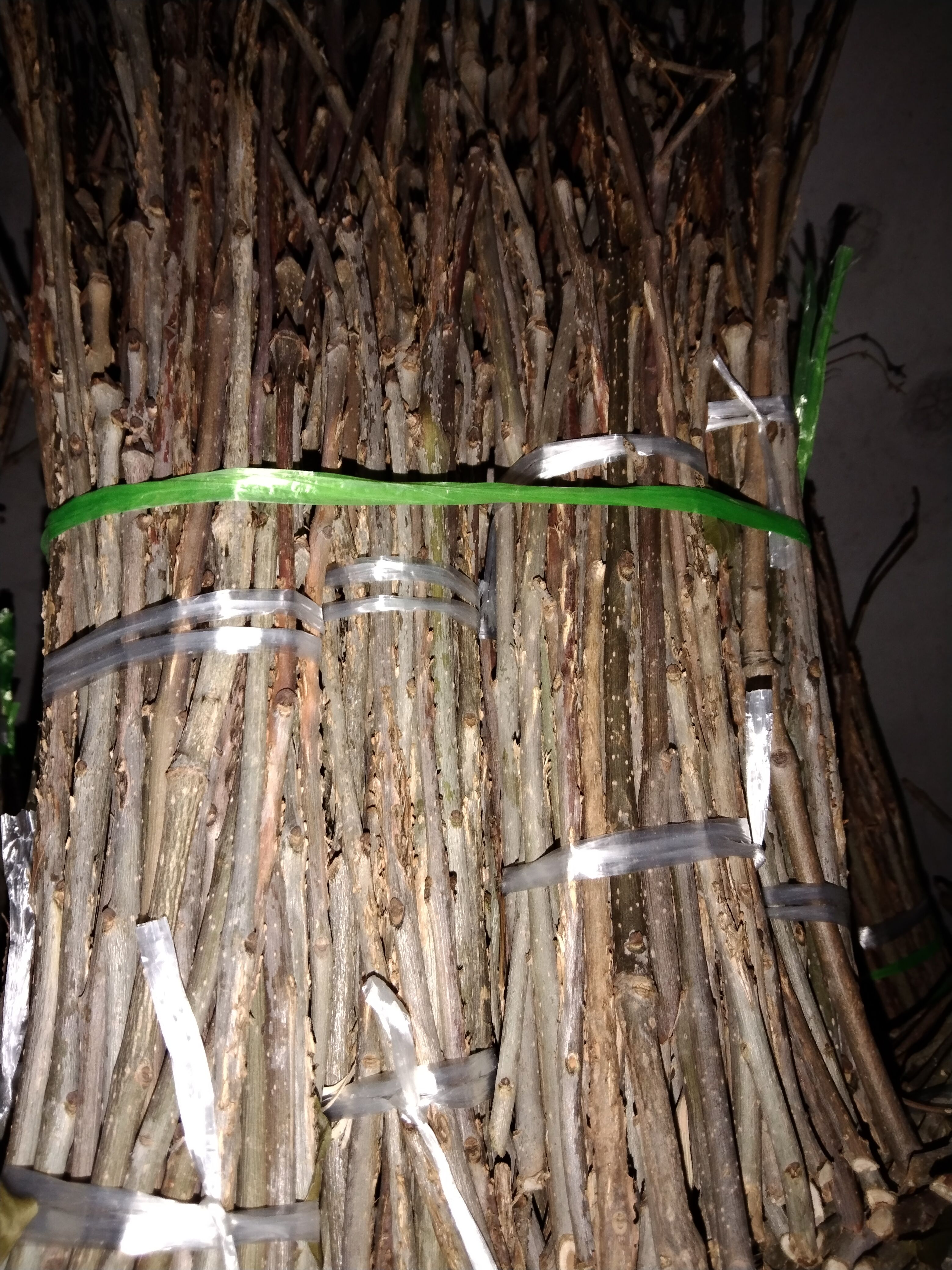 产地一手优质白蜡金蝉卵枝，价格公平质量上乘，需要你就下单吧！