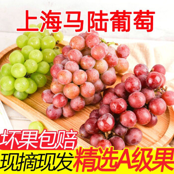 上海上海嘉定马陆夏黑葡萄巨峰葡萄新鲜现摘当季水果整箱