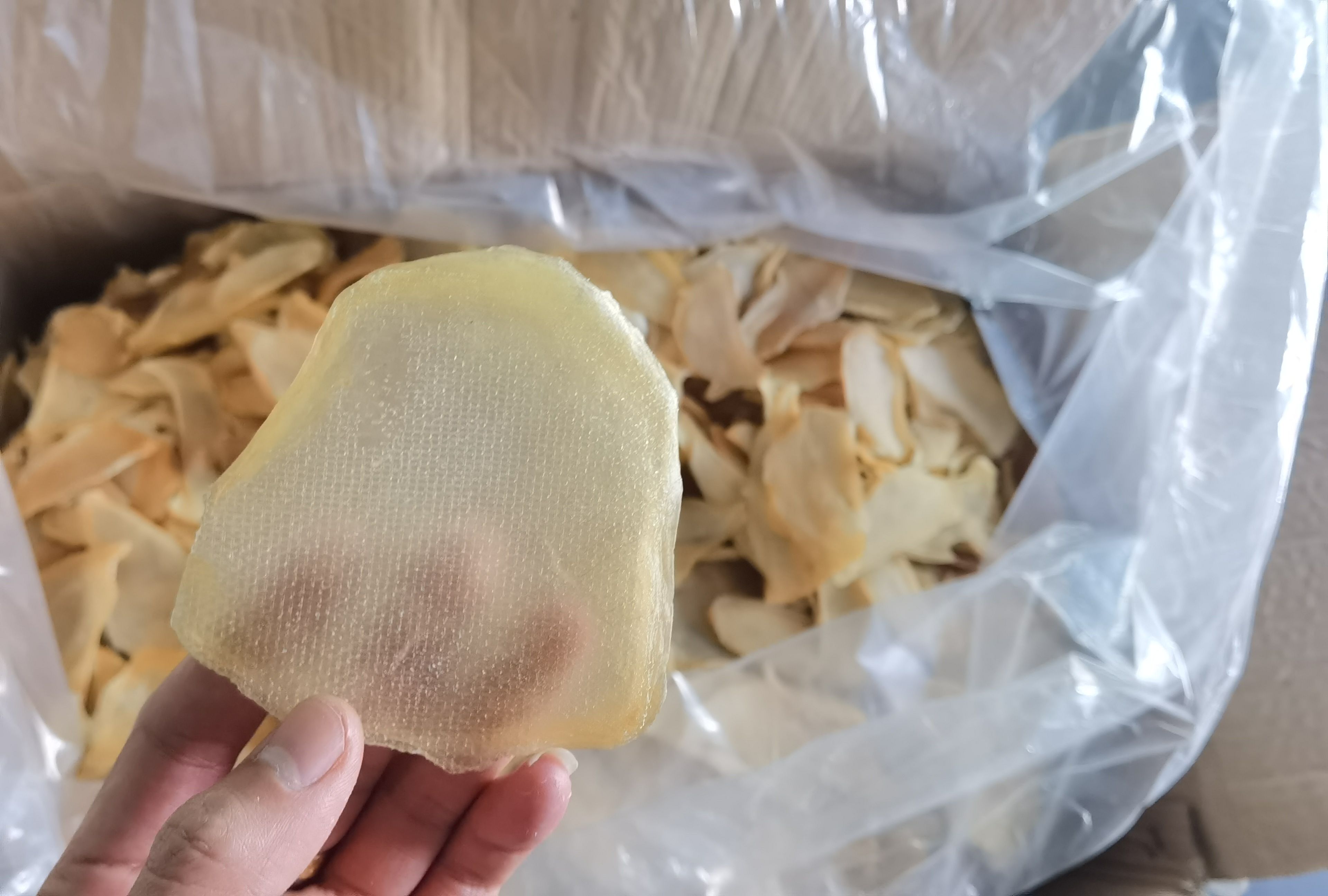 干贝 【干螺片】煲汤提鲜 批发酒店 餐厅