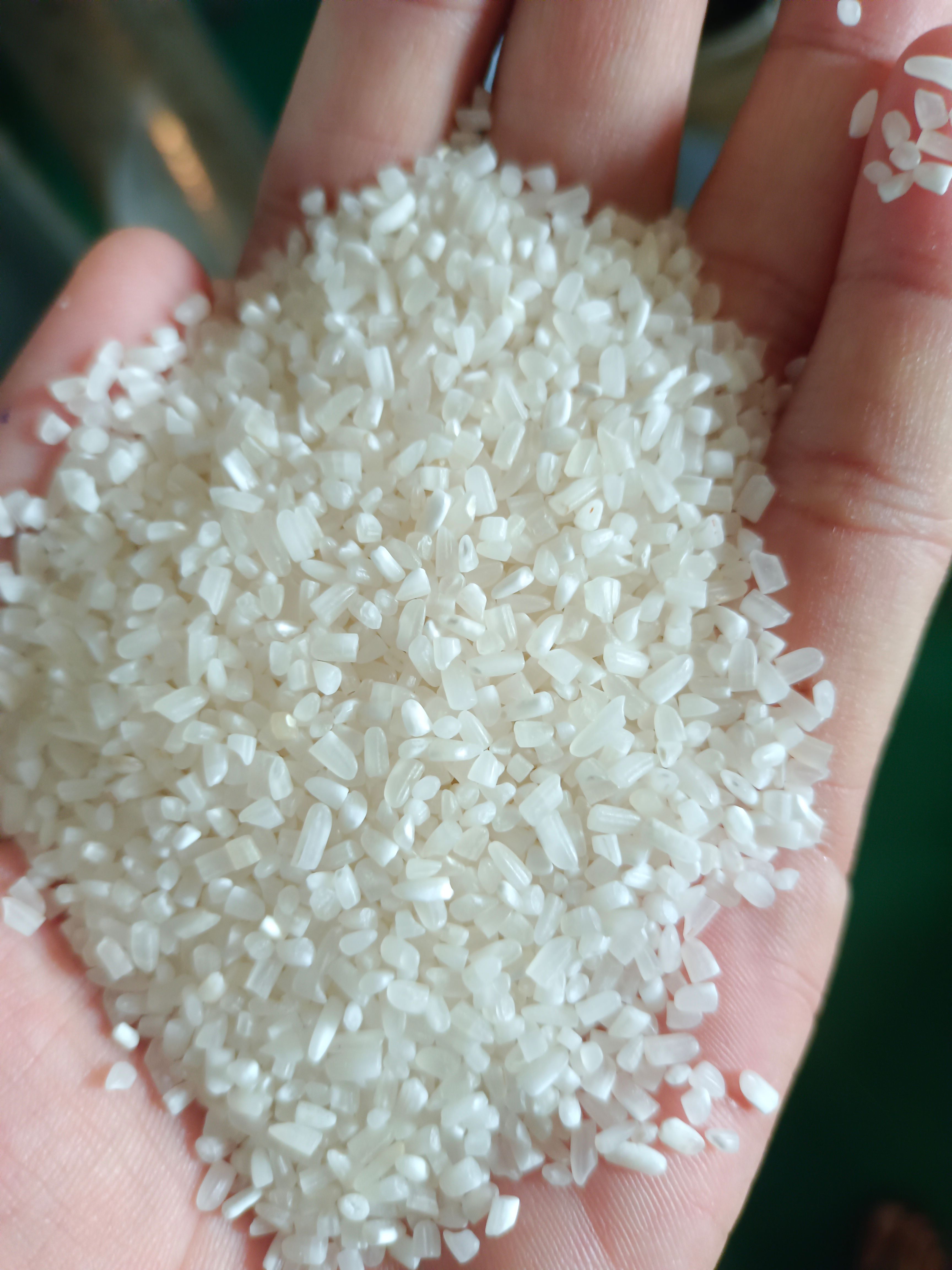 缅甸AA级碎米