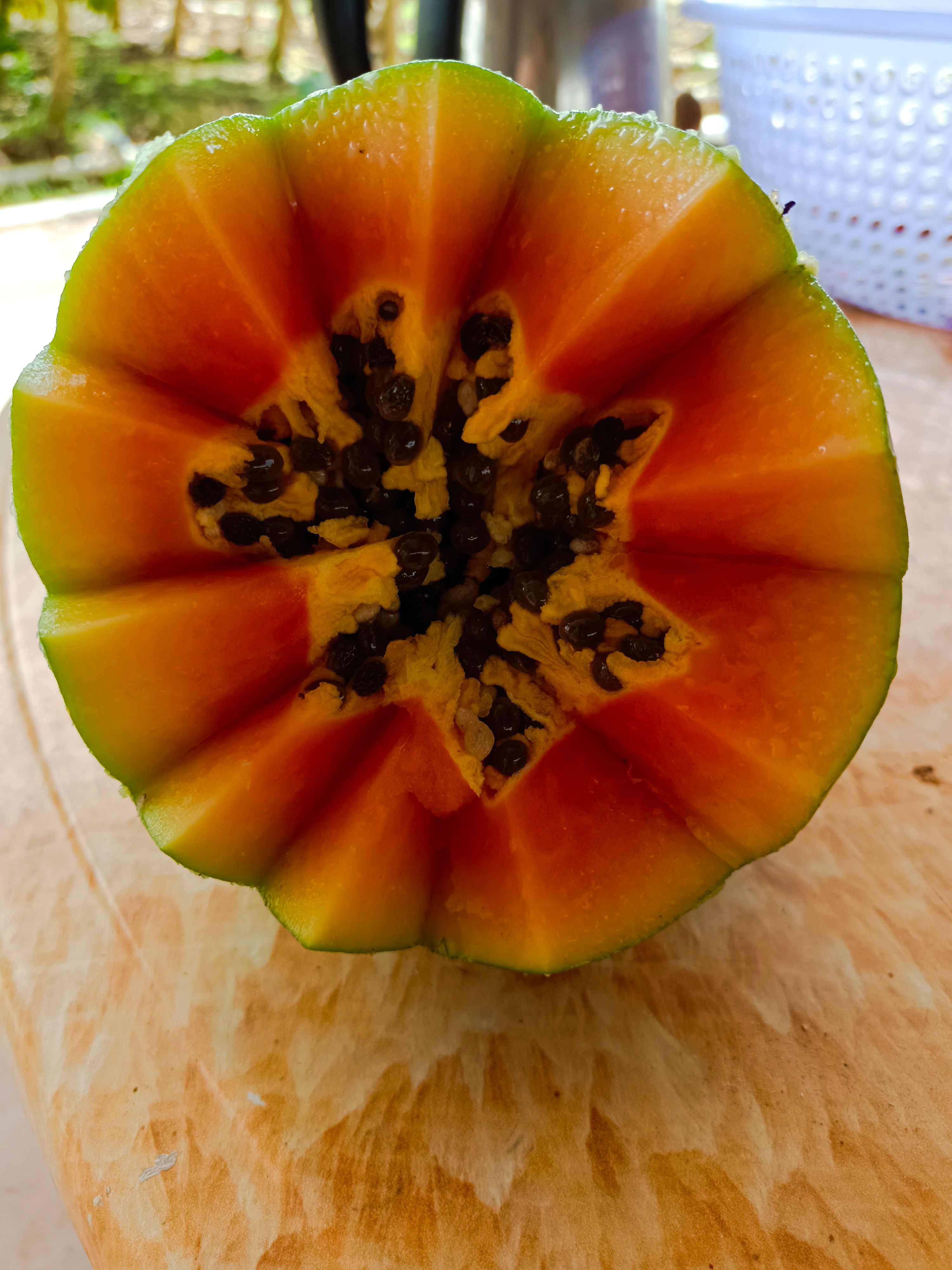  大青木瓜，产地直发，几百亩产地，专人管理。