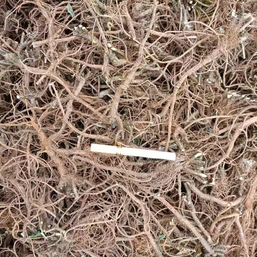 荣县柴胡45元每斤，量大的来，可长期供货，寻实力厂家