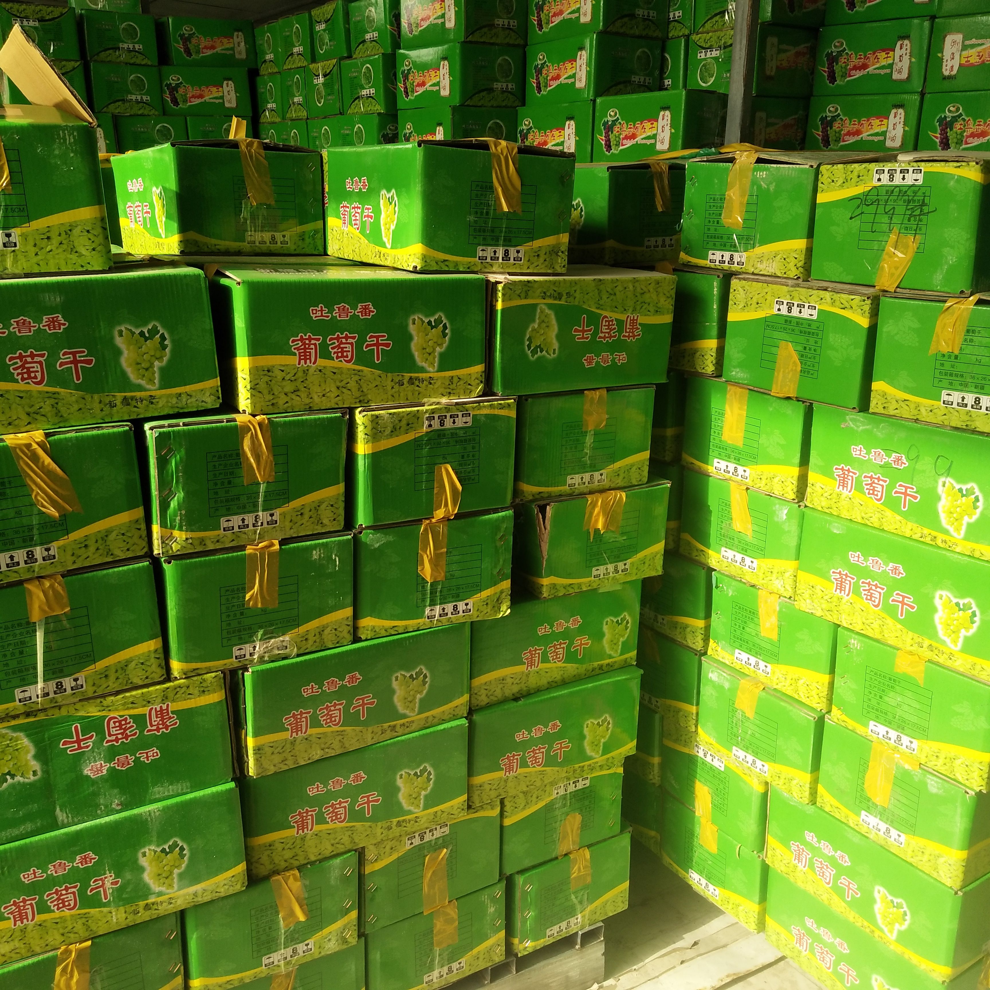 绿葡萄干  新疆吐鲁番市葡萄干零食